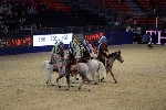 Quadrille - 00185